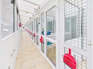 Cattery- click for photo gallery